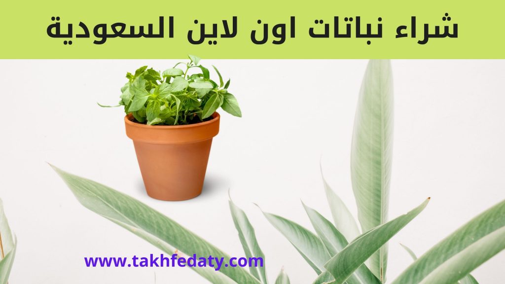 شراء نباتات اون لاين السعودية