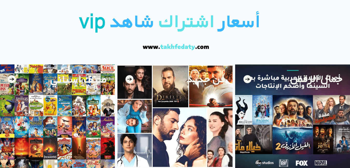   أسعار اشتراك شاهد vip