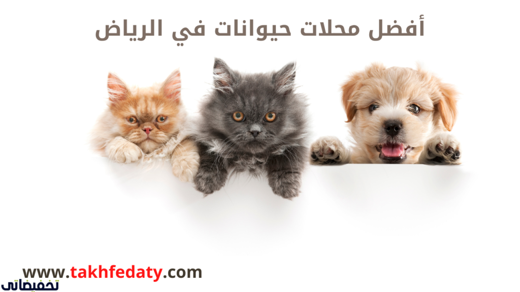 أفضل محلات حيوانات في الرياض