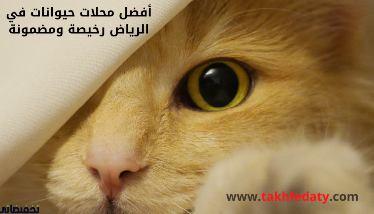 محلات الحيوانات في جده